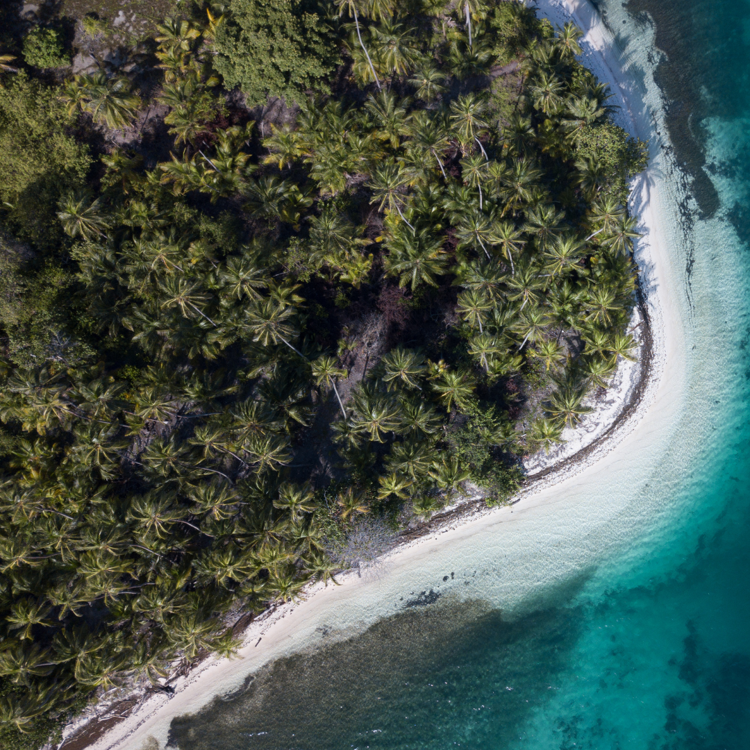 Aerial view of a lush tropical island with palm trees and turquoise waters, illustrating natural beauty and serenity